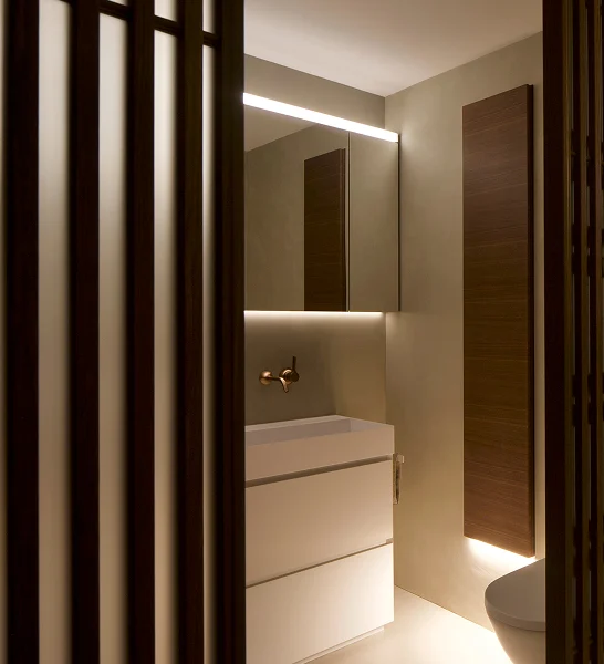 schiebetüre mit tageslicht