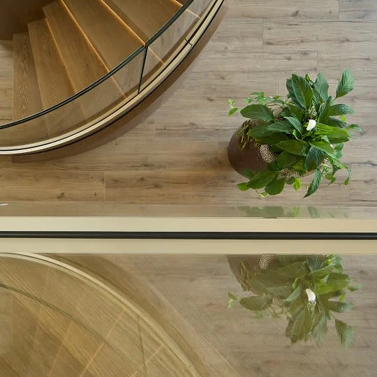 Blick von oben auf eine geschwungene Treppe mit Glasgeländer und Pflanze.